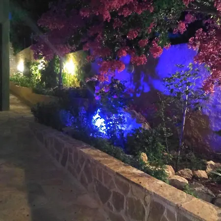 Xenonas κithαiron Vília